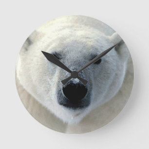 Polar Bear Rund Klocka