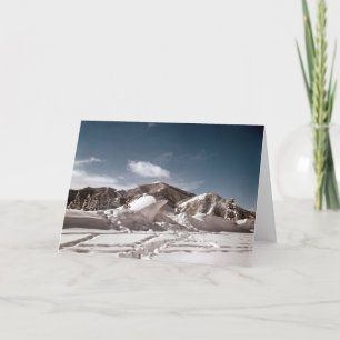 Polar Bear Snö skulptur Kort