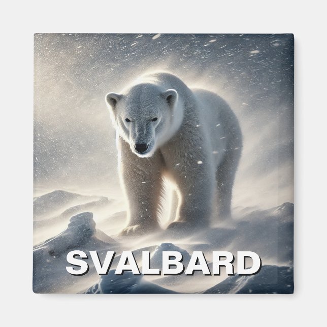 Polar Bear Snö Svalbard Norge Magnet (Framsidan)