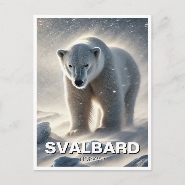 Polar Bear Snö Svalbard Norge Vykort (Framsida)