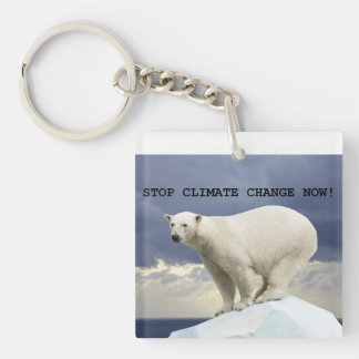 Polar Bear Stop Climate Change Now!
