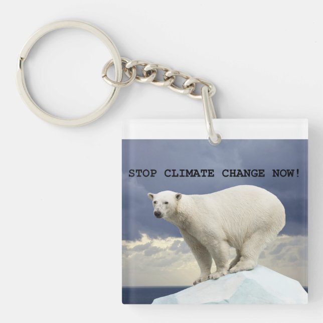 Polar Bear Stop Climate Change Now! (Framsidan)