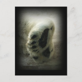 Polar Bear Tassar vykort
