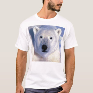 Polar Bear Tröja