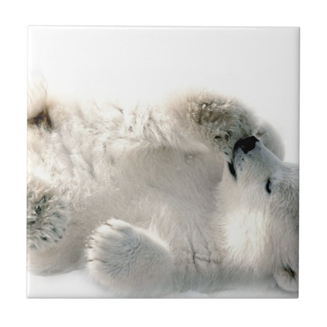 Polar Bear Unge Cute Animal Arktis, fryst vinter Kakelplatta (Framsidan)