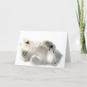Polar Bear Unge Cute Animal Arktis, fryst vinter Kort