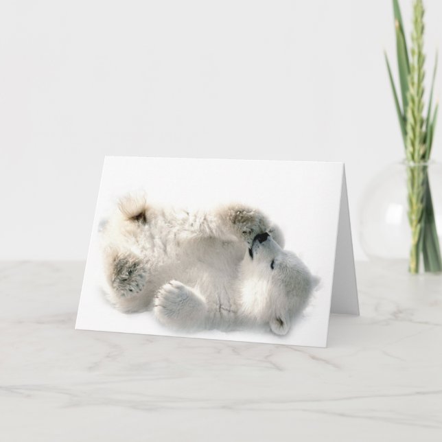 Polar Bear Unge Cute Animal Arktis, fryst vinter Kort (Framsida)