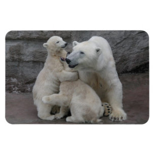 Polar Bear Unge Magnet