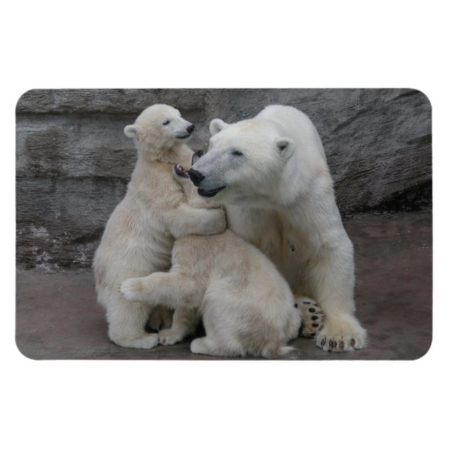 Polar Bear Unge Magnet (Horisontell)