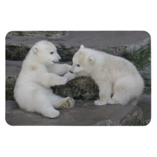 Polar Bear Unge Magnet