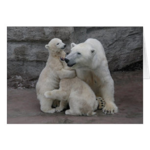 Polar Bear Unge och Mor Hälsningskort