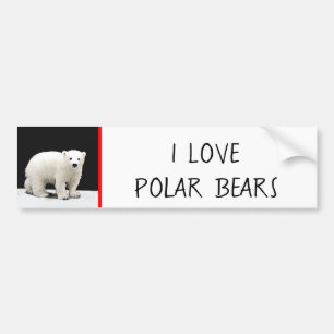 Polar Bear Unge Painting - Original Wildlife Art Bildekal