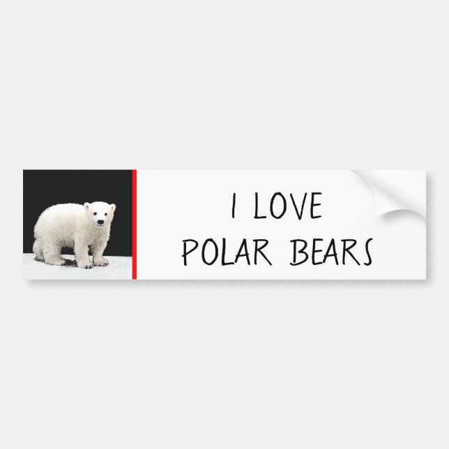 Polar Bear Unge Painting - Original Wildlife Art Bildekal (Framsidan)