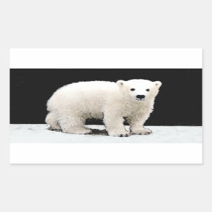 Polar Bear Unge Painting - Original Wildlife Art Rektangulärt Klistermärke