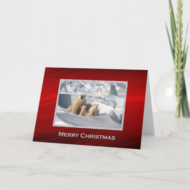 Polar Bear Unge Snö fotojul Helgkort (Framsida)