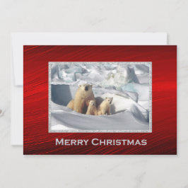 Polar Bear Unge Snö Photo-julklapp Julkort