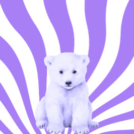 Polar Bear Unge T Shirt