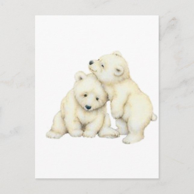 Polar Bear Unge Vykort (Framsida)