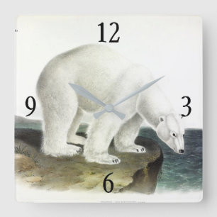 Polar Bear (Ursus Maritimus), Audubon's Quadrupeds Fyrkantig Klocka