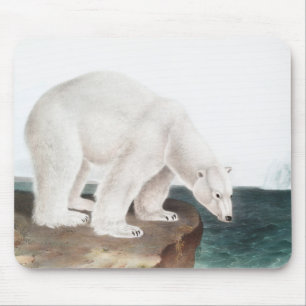 Polar Bear (Ursus maritimus) Illustration Musmatta