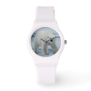 Polar Bear, Ursus Maritimus, Vuxen Armbandsur