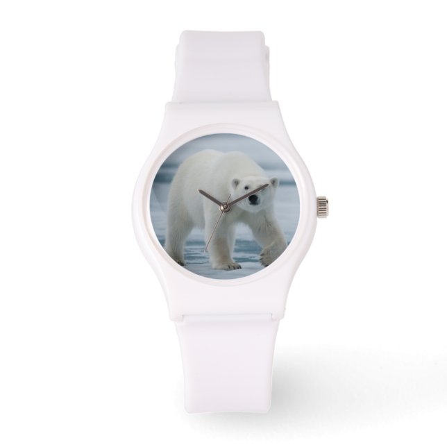 Polar Bear, Ursus Maritimus, Vuxen Armbandsur (Framsida)