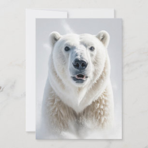 Polar Bear Vild Djurens Elegant Dramatic Porträtt Meddelande