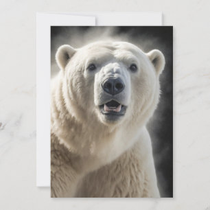 Polar Bear Vild Djurens Elegant Dramatic Porträtt Meddelande