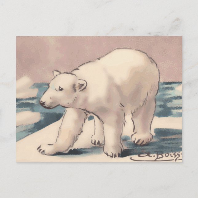 Polar Bear Vykort (Framsida)