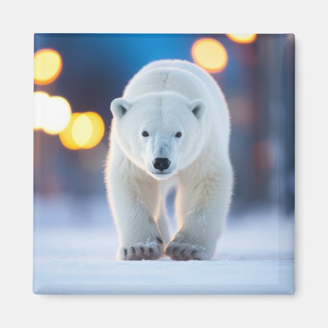 Polar Bear Wildlife Animal on Street Magnet (Framsidan)
