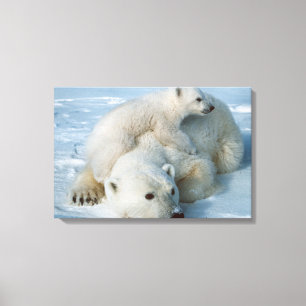 Polar_Bear_with_Unge Canvastryck