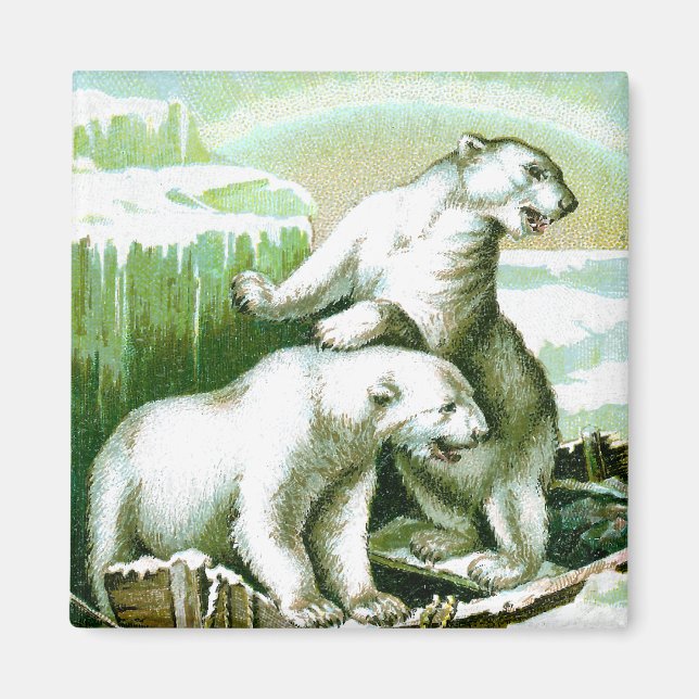 Polar Bears and Northern Ljus Magnet (Framsidan)