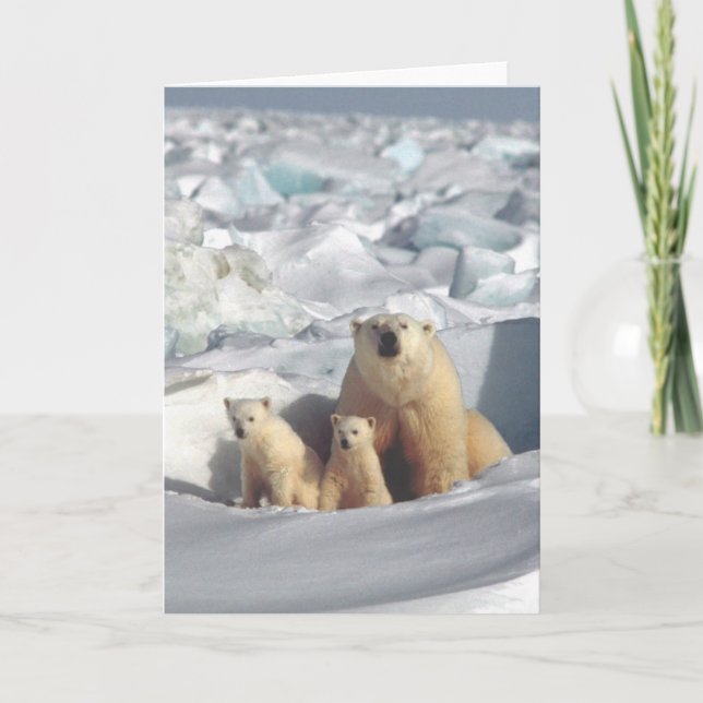 Polar Bears Arctic Wildlife Blank Greeting Card Kort (Framsida)