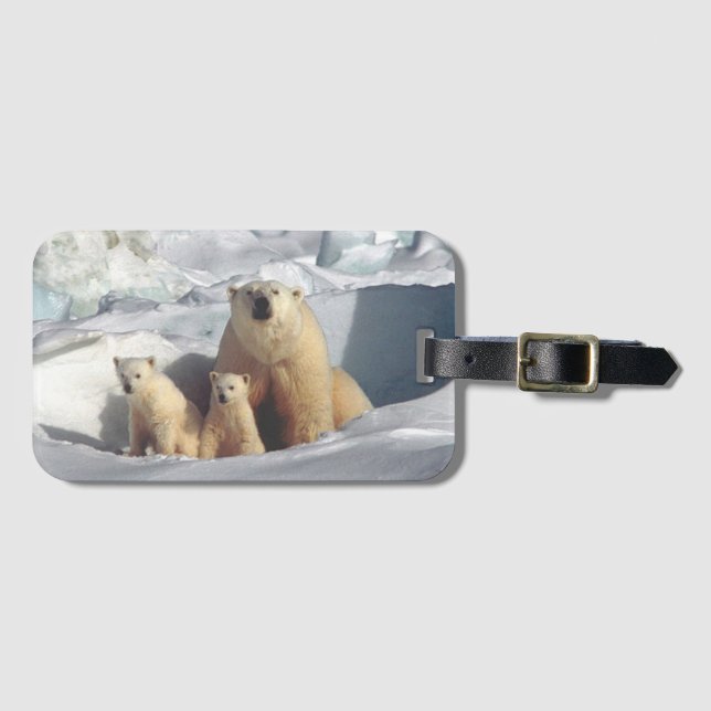 Polar Bears Bagagebricka (Framsida horisontal)