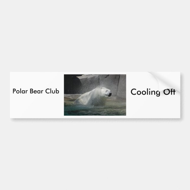 Polar Bears Bildekal (Framsidan)