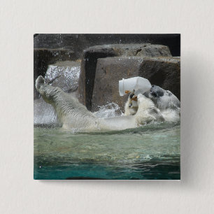 Polar Bears Knapp