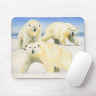 Polar Bears Musmatta
