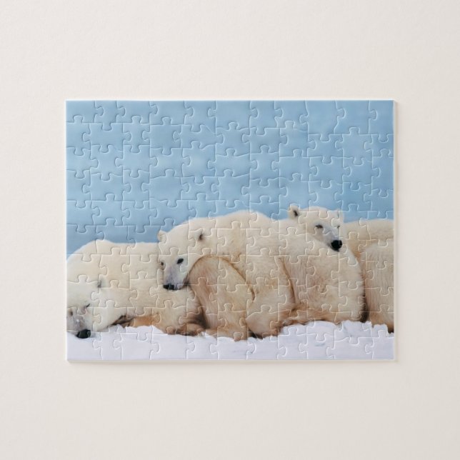Polar Bears Puzzle Pussel (Horisontell)