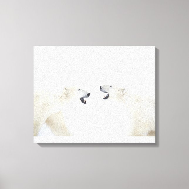 Polar Bears står på snö efter att ha spelat Canvastryck (Framsida)