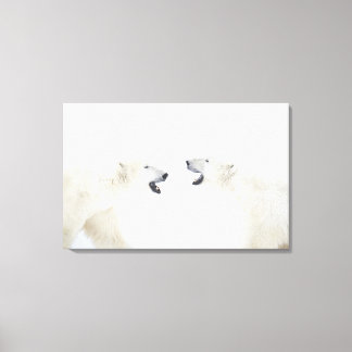 Polar Bears står på snö efter att ha spelat Canvastryck