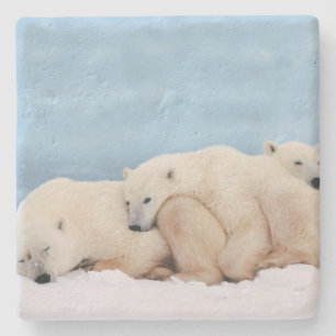 Polar Bears Stone Underlägg