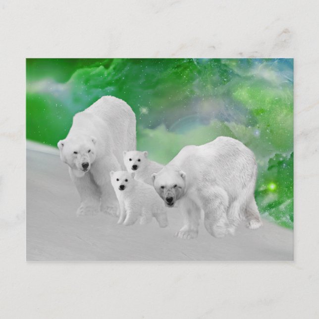 Polar Bears, unge och norra ljus Vykort (Framsida)