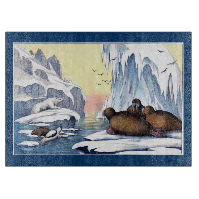 Polar Bears, Walrus och Sälar (Framsidan)