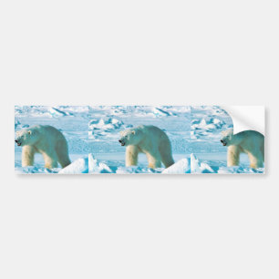 Polar björn bildekal