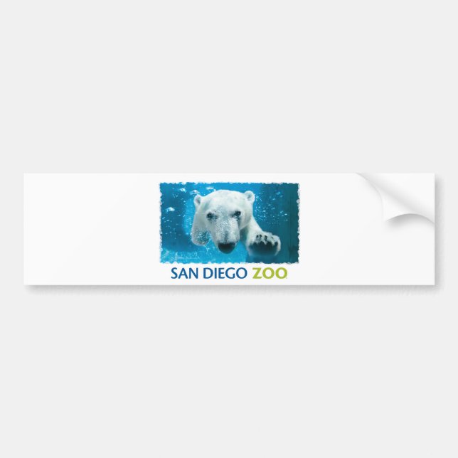 Polar björn för San Diego Zoo Bildekal (Framsidan)