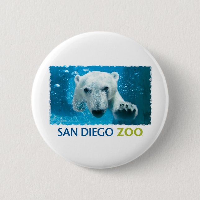 Polar björn för San Diego Zoo Knapp (Framsida)