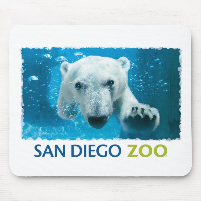 Polar björn för San Diego Zoo Musmatta (Framsidan)