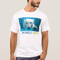 Polar björn för San Diego Zoo