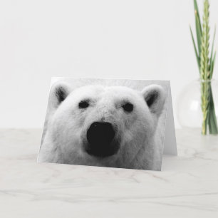Polar björn för svart & för vit kort