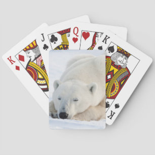 Polar björn i vinter kortlek